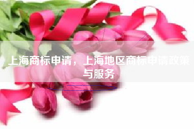上海商标申请，上海地区商标申请政策与服务