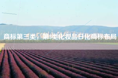 商标第三类，第3类化妆品日化商标布局