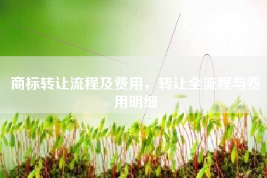 商标转让流程及费用，转让全流程与费用明细