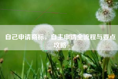 自己申请商标，自主申请全流程与要点攻略