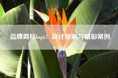 品牌商标logo：设计原则与精彩案例