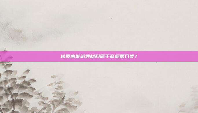 核反应堆减速材料属于商标第几类?