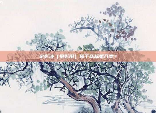 定影液(摄影用)属于商标第几类?