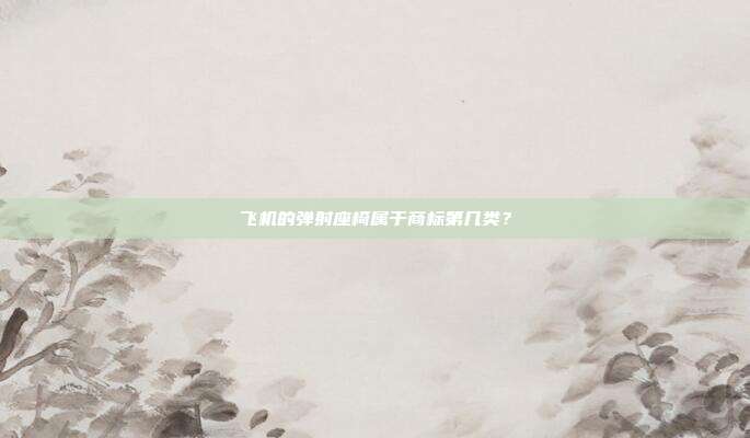 飞机的弹射座椅属于商标第几类?