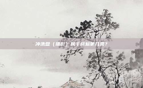 冲洗盘（摄影）属于商标第几类？