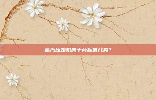 蒸汽压路机属于商标第几类？