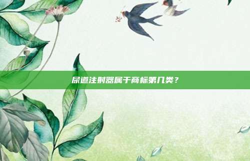 尿道注射器属于商标第几类?