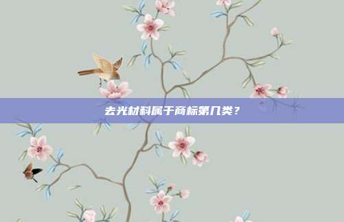 去光材料属于商标第几类？