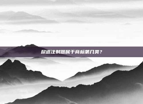 尿道注射器属于商标第几类？