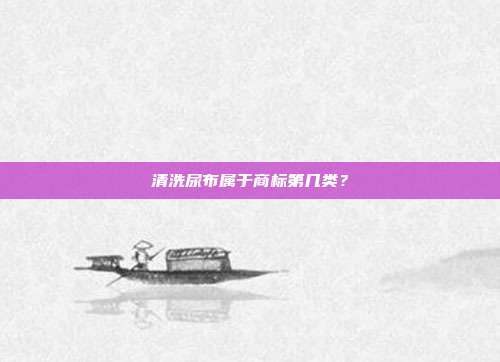 清洗尿布属于商标第几类?