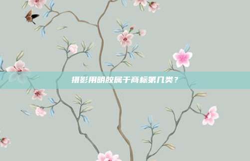 摄影用明胶属于商标第几类?