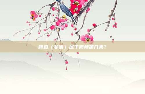 鲱鱼(非活)属于商标第几类?