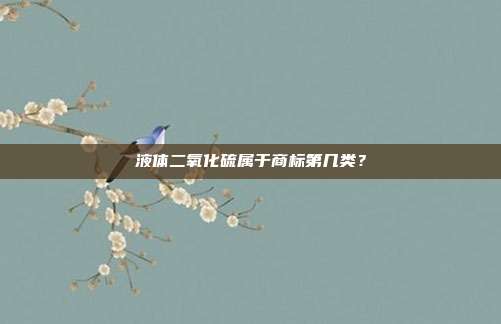 液体二氧化硫属于商标第几类?