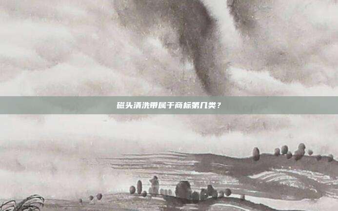 磁头清洗带属于商标第几类?