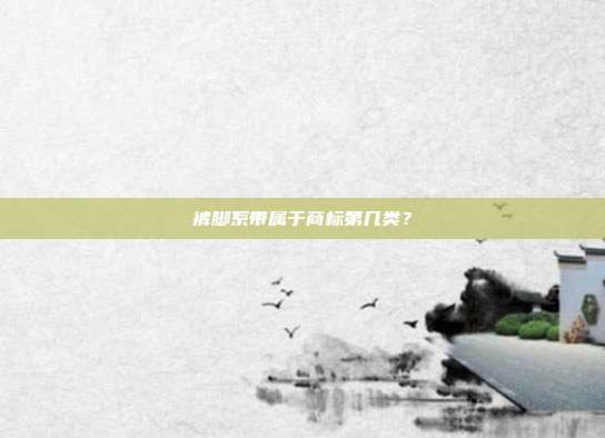 裤脚系带属于商标第几类？