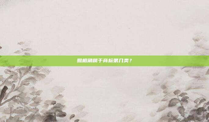 照相角属于商标第几类?