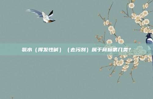 氨水（挥发性碱）（去污剂）属于商标第几类？