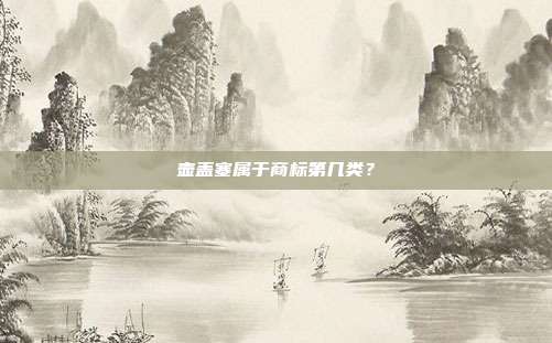 壶盖塞属于商标第几类?