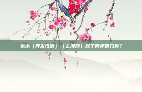 氨水(挥发性碱)(去污剂)属于商标第几类?