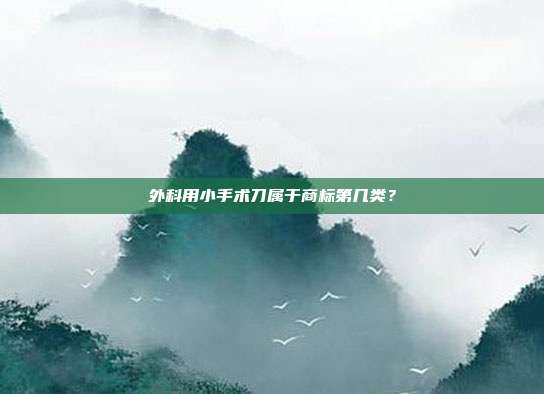 外科用小手术刀属于商标第几类？