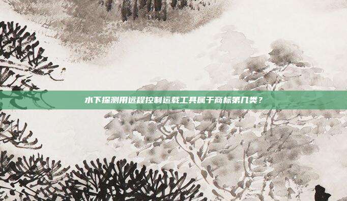 水下探测用远程控制运载工具属于商标第几类?