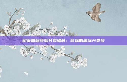 明晰国际商标分类编码:商标的国际分类号