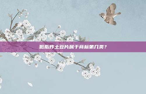 低脂炸土豆片属于商标第几类？