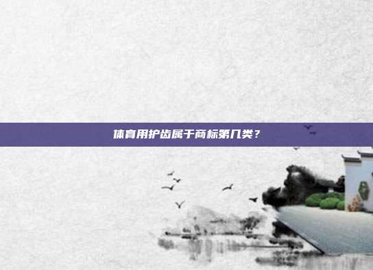 体育用护齿属于商标第几类？