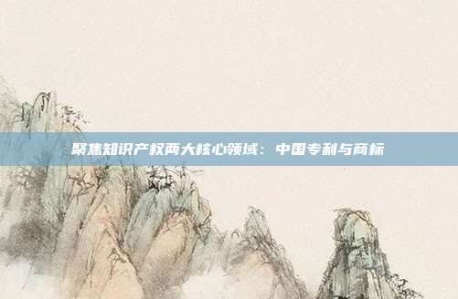 聚焦知识产权两大核心领域:中国专利与商标