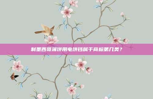 制墨西哥薄饼用电饼铛属于商标第几类?