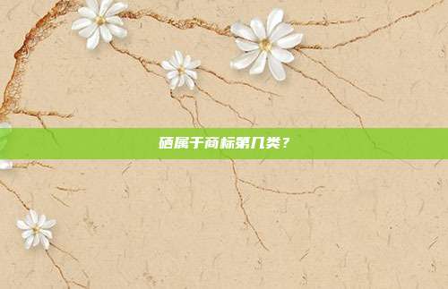 硒属于商标第几类?