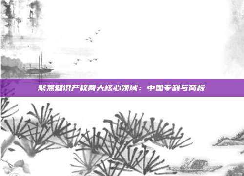 聚焦知识产权两大核心领域:中国专利与商标