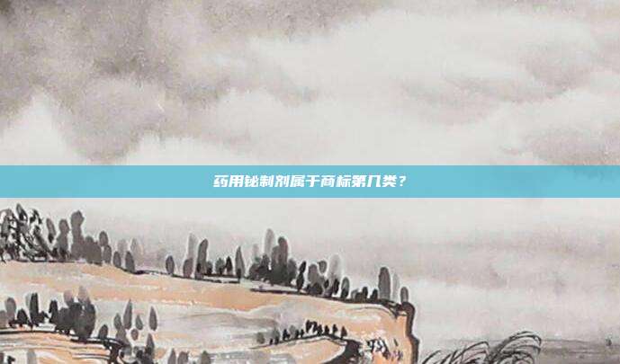 药用铋制剂属于商标第几类?