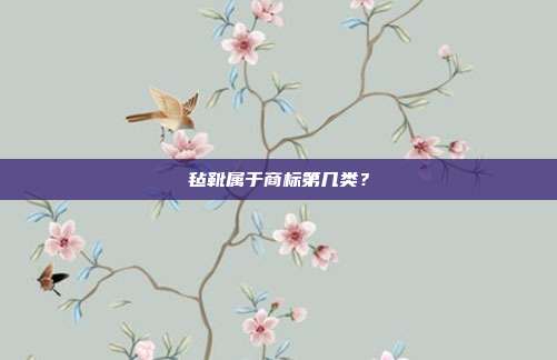 毡靴属于商标第几类？