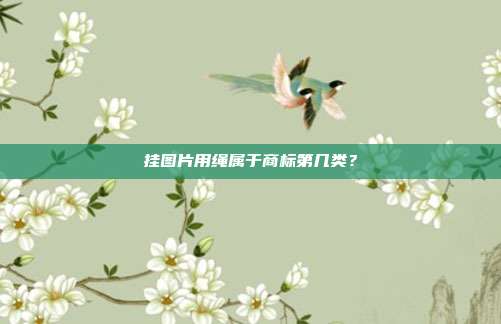 挂图片用绳属于商标第几类？