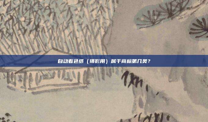 自动着色纸(摄影用)属于商标第几类?
