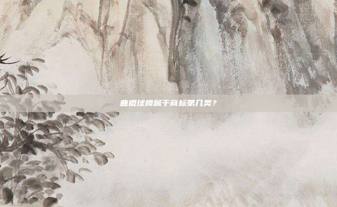 曲棍球棒属于商标第几类？