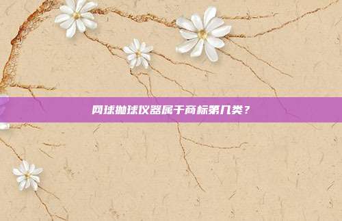 网球抛球仪器属于商标第几类?