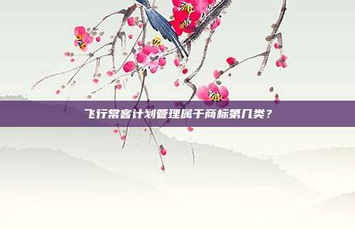 飞行常客计划管理属于商标第几类？