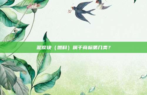 泥炭块(燃料)属于商标第几类?