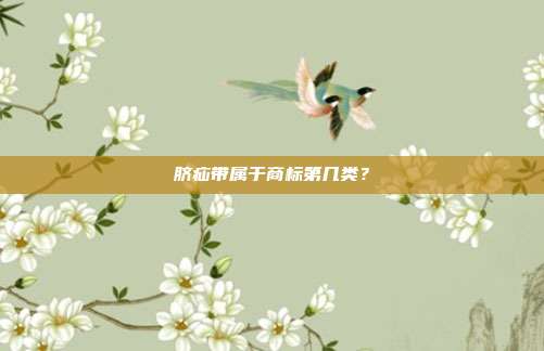 脐疝带属于商标第几类？