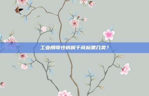 工业用苛性钠属于商标第几类？