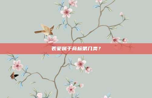 表蒙属于商标第几类？