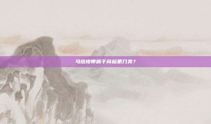 马镫皮带属于商标第几类？
