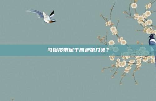 马镫皮带属于商标第几类？