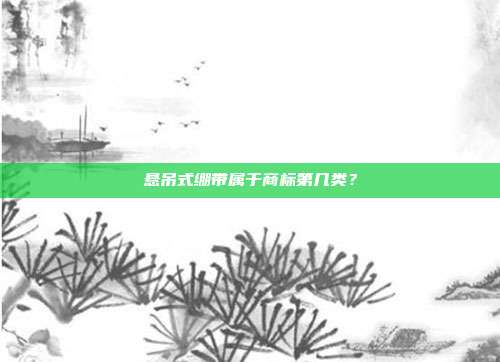 悬吊式绷带属于商标第几类？
