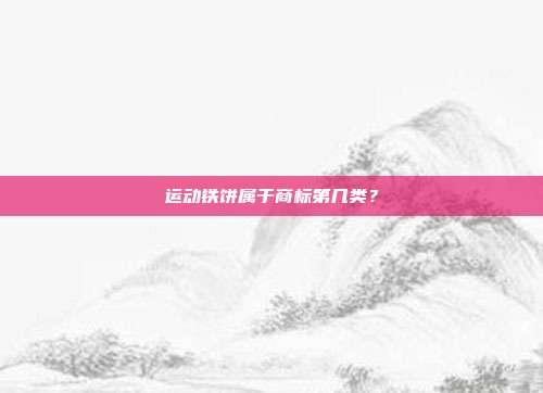 运动铁饼属于商标第几类？