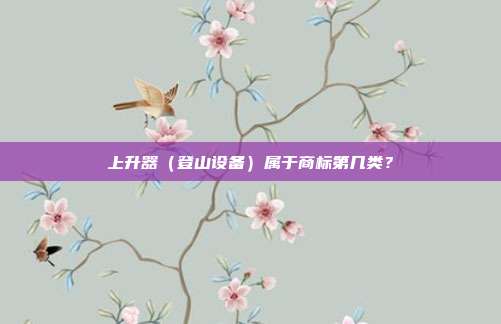上升器（登山设备）属于商标第几类？