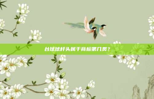 台球球杆头属于商标第几类？
