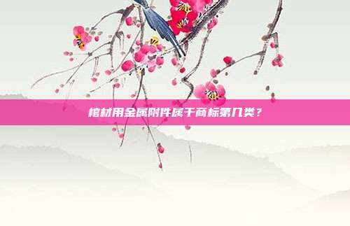 棺材用金属附件属于商标第几类？